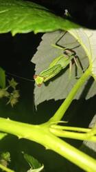 IMG_20250722_214708.jpg