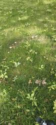 IMG_20250723_140747.jpg
