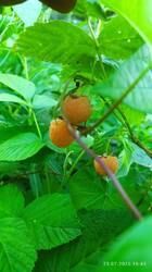 IMG_20250725_184324.jpg