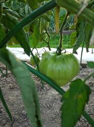 IMG_20250725_191138.jpg