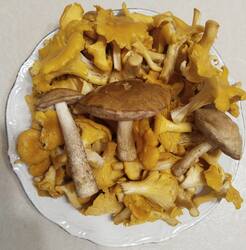IMG_20250725_204413.jpg