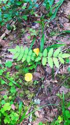 IMG_20250726_105856.jpg