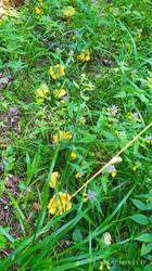 IMG_20250726_111757.jpg
