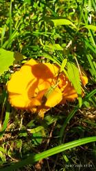 IMG_20250726_112105.jpg