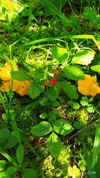 IMG_20250726_114910.jpg