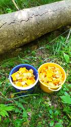 IMG_20250726_115346.jpg