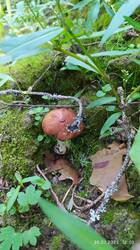 IMG_20250726_120508.jpg