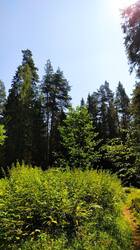 IMG_20250726_122022.jpg