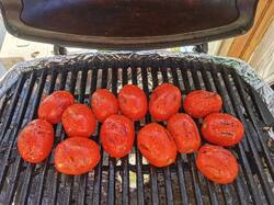 IMG_20250726_180449.thumb.jpg.e3a7ad5c554a1af86f18b2d606ce7e8f.jpg