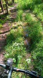 IMG_20250727_132750_073.jpg