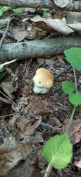 IMG_20250727_140701.jpg