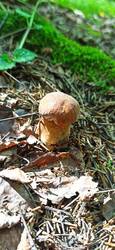 IMG_20250727_142326.jpg