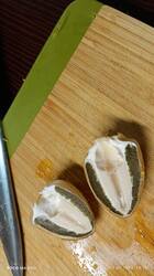 IMG_20250729_193214.thumb.jpg.567b7f835c673ab4062a10fbd95f101f.jpg