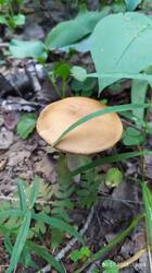 IMG_20250730_190948.jpg