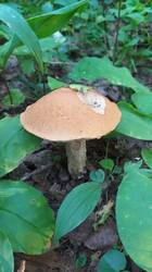 IMG_20250730_192302.jpg