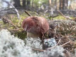 IMG_2151.jpeg
