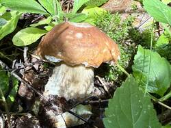 IMG_2402.jpeg