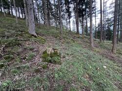 IMG_3586.jpeg