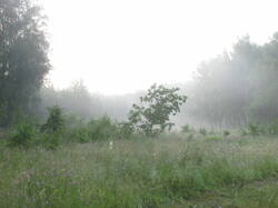 IMG_4626.thumb.JPG.cd40494c232ad3f7ac9554655da5c126.JPG