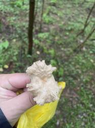 IMG_7294.jpeg