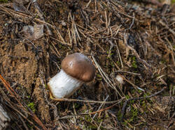 P7052736-ORF_DP.thumb.jpg.3f5188346bc753a6c09dcc9941e88cb1.jpg