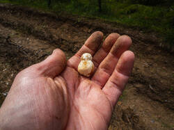 P7052757-ORF_DP.thumb.jpg.ad2116c596f621bd4fb43a73cf2afaae.jpg