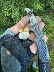 image-26-07-25-14-25-17.jpeg