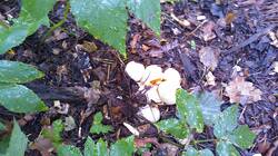 1090384415_08-25-23-(3).thumb.jpg.a411a354def34661a81f4e2ff07e1950.jpg