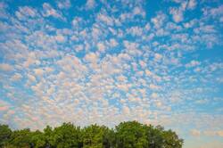 1167110226_1(6).thumb.jpg.6a3eeb4dc0bf0f97b6b11499ea579d7b.jpg
