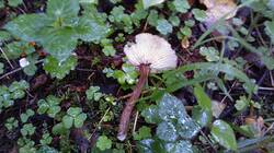 1215385452_08-25-23-(1).thumb.jpg.ce672cc49bcfc71c165f87b0eff29845.jpg