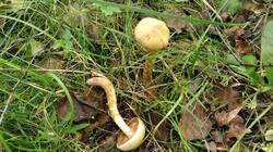 1342634490_08-25-25-_(5).thumb.jpg.be14a913a37e2139b25dea45512abae6.jpg