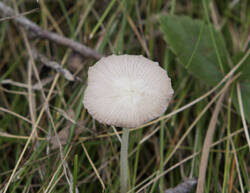 1400_DSC0208.thumb.jpg.2d16e2384ec31f11e2c7275abd3a5535.jpg