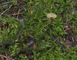 1400_DSC0337.thumb.jpg.6d6843a12fd37dcf97eb3f77a013e82e.jpg