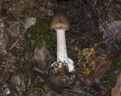 1400_DSC0372.thumb.jpg.8d94a13ab228f14ebe32c9130120705d.jpg