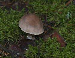 1400_DSC0457.thumb.jpg.7a2001a1b8459403f6cbec54b30afbc1.jpg