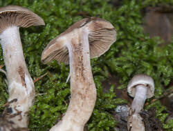1400_DSC0461.thumb.jpg.8ba6492bd0743429ed0c4527e8895bda.jpg