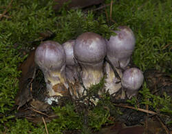 1400_DSC0568.thumb.jpg.bcfb76057e29d6934bb1fce09e6b0d69.jpg