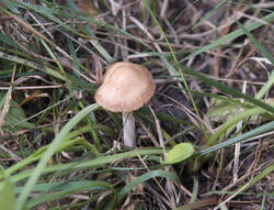 1400_DSC8002.thumb.jpg.0a733f40c9f19cbdb4fb2a653db86630.jpg