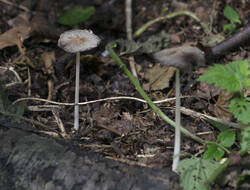 1400_DSC8014.thumb.jpg.89cd613bf8d938c871ab6556bced0364.jpg