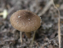 1400_DSC8690.thumb.jpg.a27a769df3a1f68732b0567aec64c220.jpg