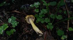 1428324042_08-25-19-(2).thumb.jpg.f8656ead5cf7e66cb43abeafbc7cc7e0.jpg