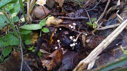 1471136808_08-25-23-(1).thumb.jpg.32eca28a4e40792cbc2873f3996ac242.jpg