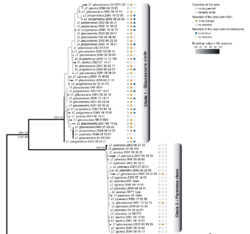 1664243058_2025-08-0413_38_16-LactifluuspiperatusandalliedspeciesinWEuropeandanoverviewofthegroupworldwide(2)..thumb.png.6150a888bca702ff847f2bda70f6063e.png