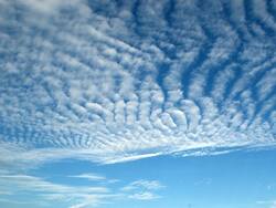 1719152006_1(4).thumb.jpg.076b7a4fc7a369fff7c98bdd1439489f.jpg