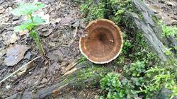1803471113_08-25-08-_(10).thumb.jpg.dfcd32cc9d90f456b4bcf84ba7c1a538.jpg