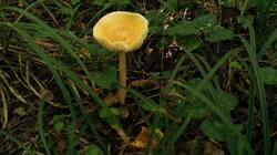 1841634169_08-25-13-(3).thumb.jpg.77ebc6f81e1227442432dcab69bb8857.jpg