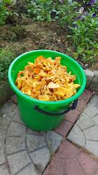 20250802_181422.jpg