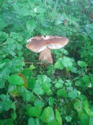 20250806_045819.jpg