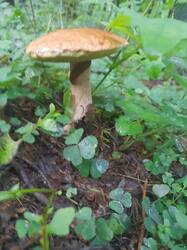 20250806_053324.jpg