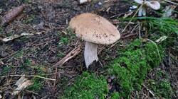 20250806_053618.jpg